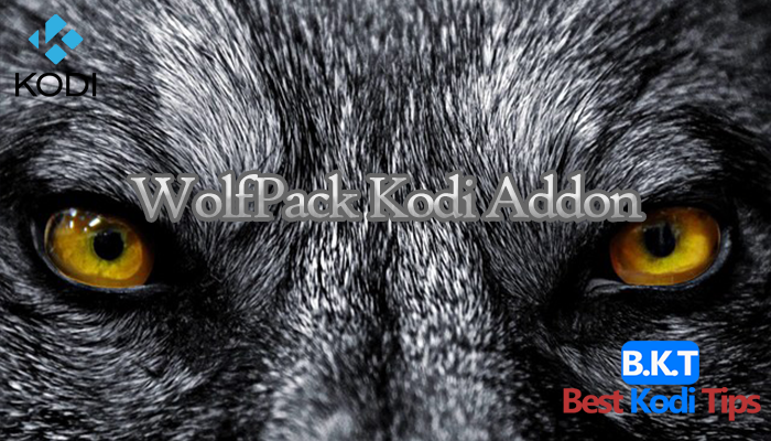 How to Install the WolfPack Addon On Kodi