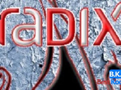 How to Install Radix on Kodi