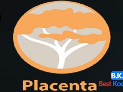 how to Install Placenta on Kodi