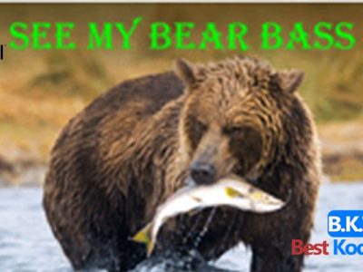 How to install See My Bear Bass Addon On Kodi