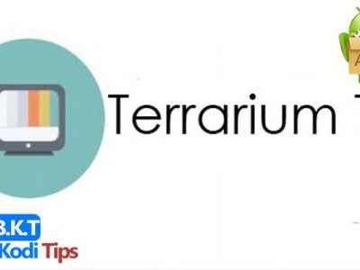 How to Install Terrarium TV APK