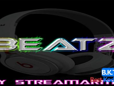 How to Install BeatZ on Kodi