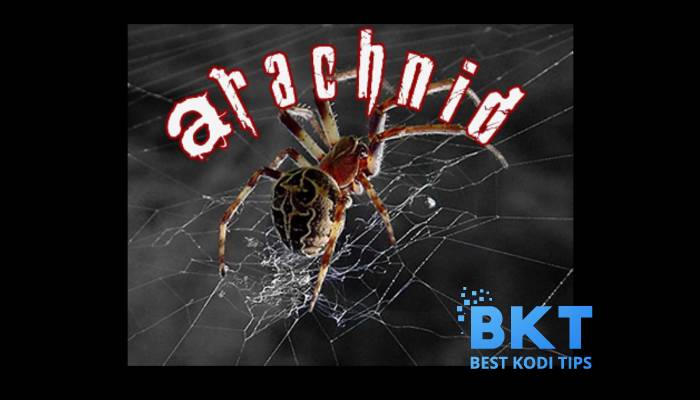 How to Install Arachnid Addon on Kodi 18 Leia 