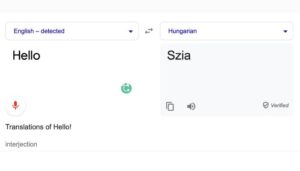 google translate3