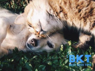 Best Pet Linked Apps for Every Owner