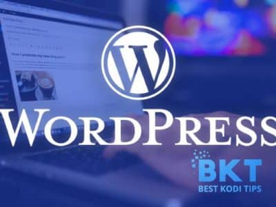 WordPress Announced 100 Year Domain & Hosting Plan