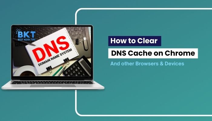Flush Chrome DNS cache net-internals